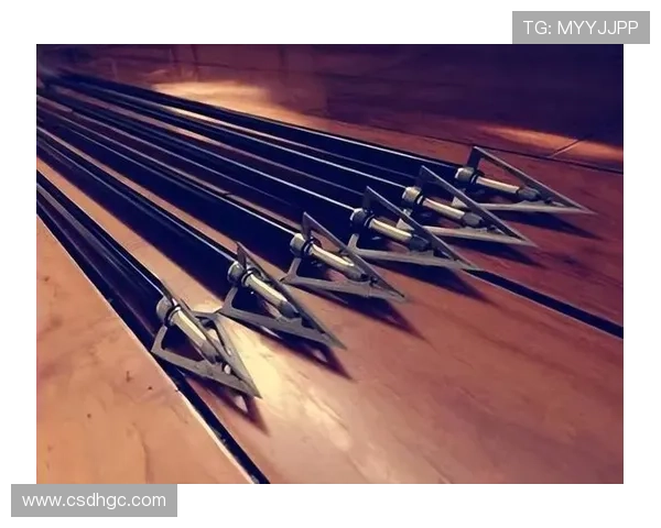 射箭历史发展与排名演变探究从古代文明到现代竞技的变迁